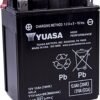 Yuasa YUAM62H4A YTX14AH-BS Maintenance Free H Series AGM Battery with Acid pack